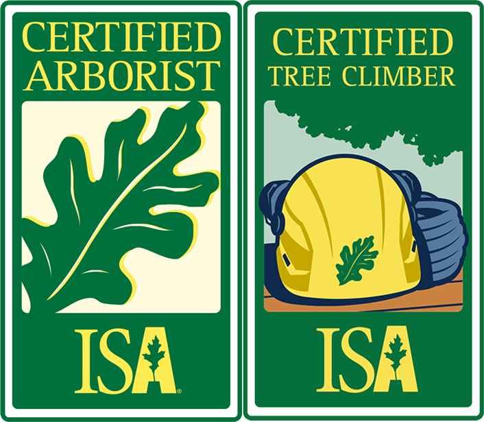 ISACertified tree service Oklahoma City