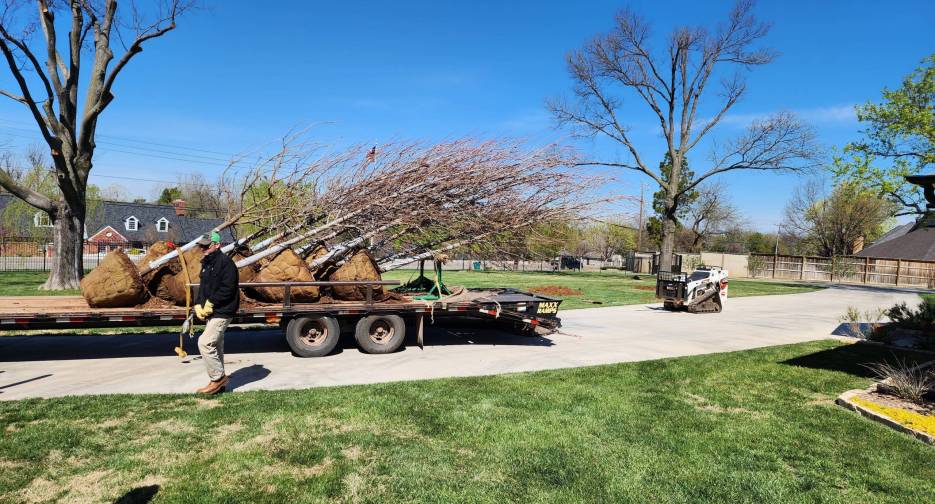 tree service Oklahoma City