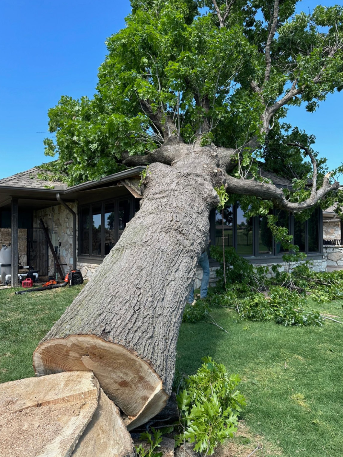 Emergency Tree Removal After Contractor Mishap | Edmond, OK